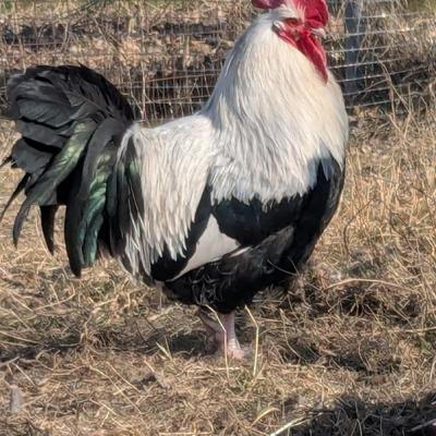 Pxl 20250309 115030900 A Web