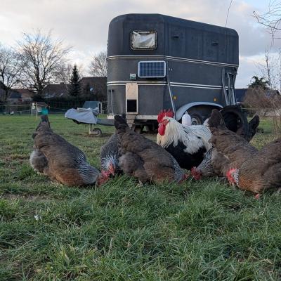 Pxl 20250131 134738374 900