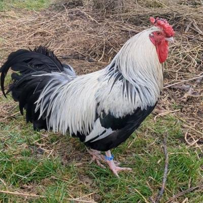 Pxl 20250312 064140636 A3 Web