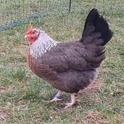 Pxl 20250312 064208998 A2 Web