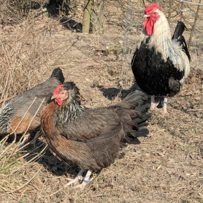 Pxl 20250309 113758912 A Web