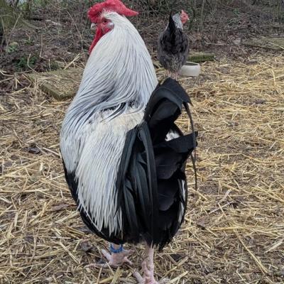 Pxl 20250312 063143477 A Web