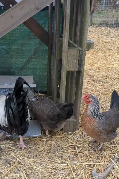 Pxl 20250312 063434082 A3 Web