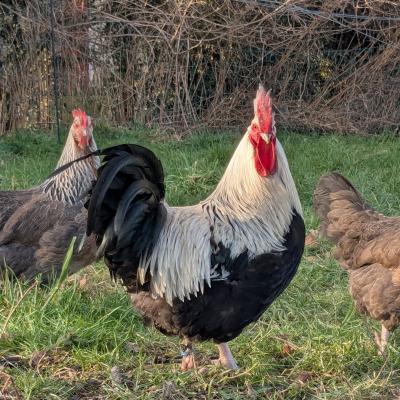 Pxl 20250131 135716931 800