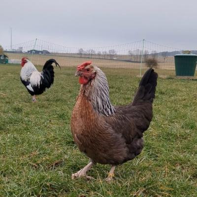 Pxl 20250312 062144645 A Web