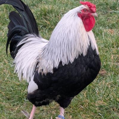 Pxl 20250312 062227821 A Web