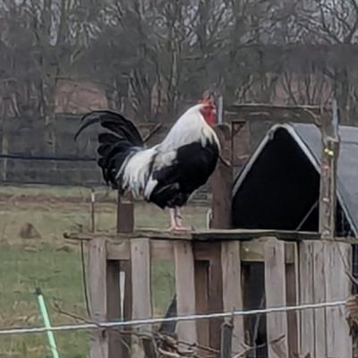 Pxl 20250312 064345033 A Web