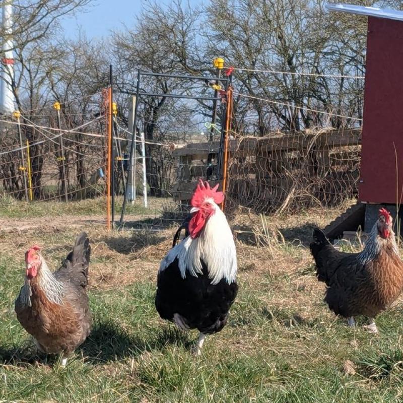 Pxl 20250309 113220088 A Web